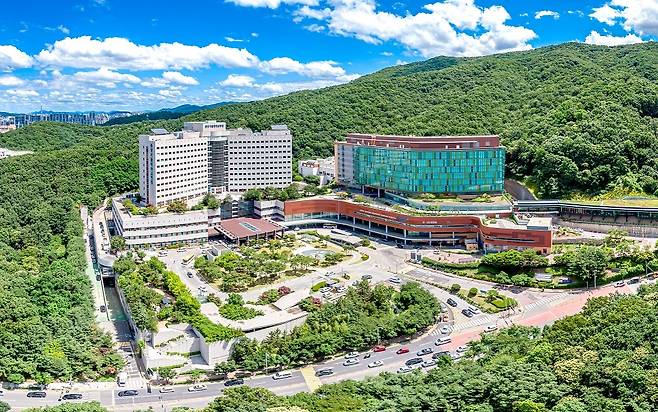 분당서울대병원.