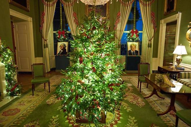 지난 12월1일 백악관 그린룸에 조지 워싱턴 초대 대통령과 도널드 트럼프 대통령의 레고 초상화를 배경으로 크리스마스 트리가 장식되어 있다. ⓒ AP=연합뉴스