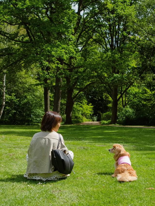 망고야 앞으로도 우리 재밌게 놀자! 보호자 제공