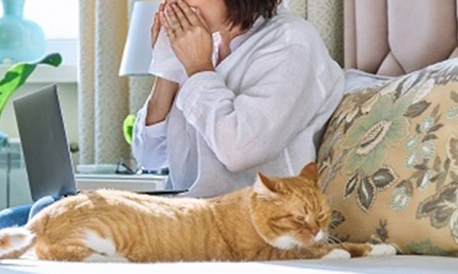 반려동물을 키우면 알레르기 천식 증상이 악화될 수 있다는 연구 결과가 발표됐다. 게티이미지