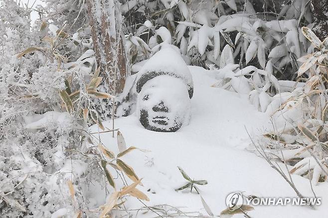 눈에 파묻힌 돌하르방 (제주=연합뉴스) 박지호 기자 = 제주도에 대설과 강풍, 풍랑특보가 내려진 2일 오전 제주 한라산 1100고지 전망대 앞에 설치된 돌하르방이 눈에 파묻혀 있다. 2026.1.2 jihopark@yna.co.kr
