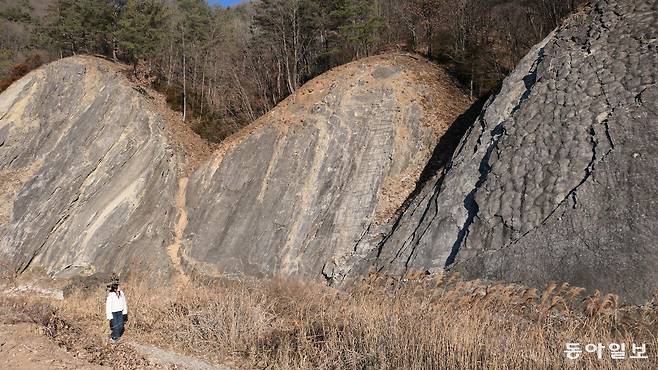 강원 영월군 북면 문곡리에서 4억5000만 년을 살아온 바위들. 오른쪽 것이 스트로마톨라이트이고 다른 두 개에서 건열 구조를 살펴볼 수 있다. 그 아득한 시간 앞에서 인간의 지혜, 명예, 부, 권력은 보잘것없어 보인다.