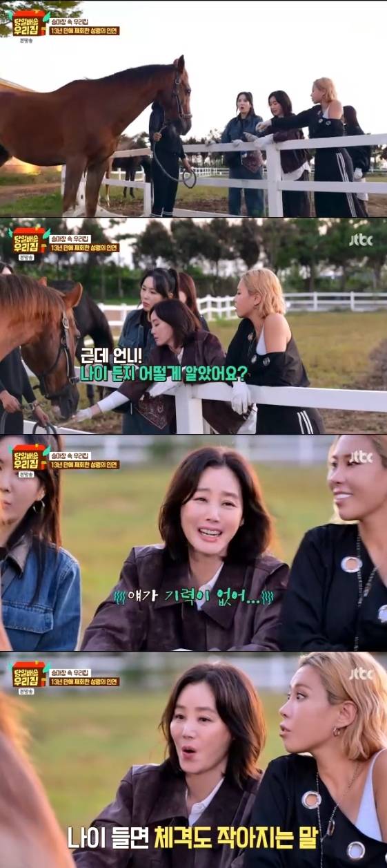 /사진= JTBC 예능 프로그램 '당일배송 우리집'