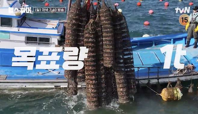 사진=tvN