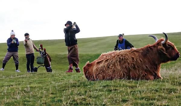 2024년 스코틀랜드 브로라 골프클럽(Brora Golf Club)에서 열린 월드히코리오픈 개인전 모습. (photo 오상준, Bruce Curtis)