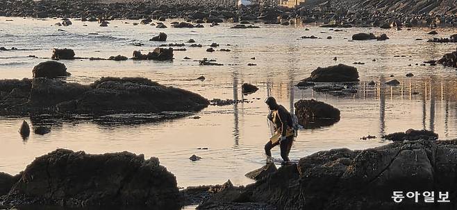 일출 무렵 해녀. 포항=김선미 기자 kimsunmi@donga.com