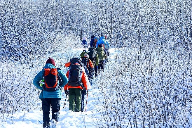 인제 곰배령 겨울 트레킹. (자료사진) (인제군 제공, 재판매 및 DB 금지)