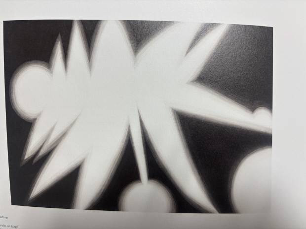 설박 작 ‘Form of NAture’