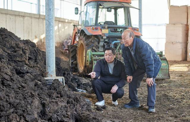 퇴비를 살펴보고 있는 김 대표 부자. <빅웨이목장>의 퇴비는 전량 아버지의 경작지에 활용되고 있다.