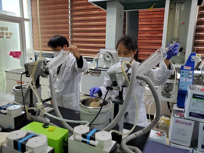 엔솔바이오사이언의 연구진들이 연구개발에 집중하고 있다. (사진=엔솔바이오사이언스)