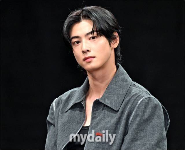 차은우 / 마이데일리