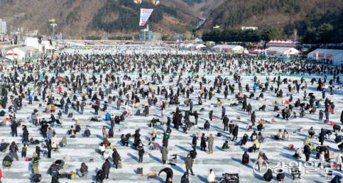 ◇개막 15일째인 24일, 화천산천어축제를 방문한 수많은 관광객들이 산천어 얼음낚시를 즐기고 있다.