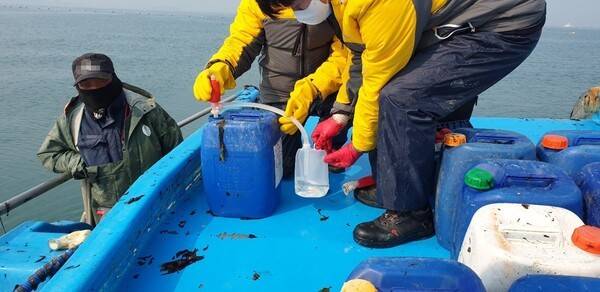 무기산 김 활성처리제 불법 사용 단속. <경기도 제공>