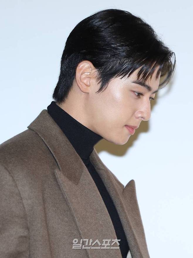 배우 차은우 (사진=일간스포츠 DB)