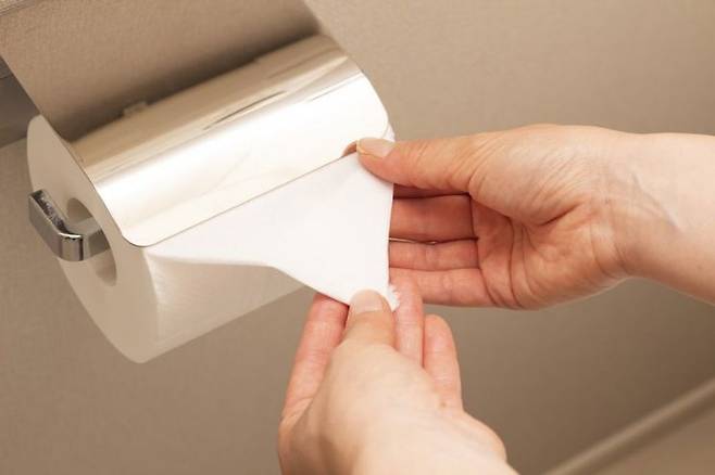 휴지 첫 장이 삼각형으로 접혀있는 모습. '이키다네 닛뽄(IKIDANE NIPPON)' 홈페이지