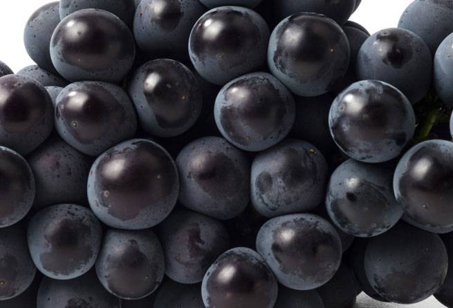 꾸준한 포도 섭취가 장내 미생물 환경을 개선하고, 콜레스테롤 수치를 낮추는 데 도움이 될 수 있다./사진=클립아트코리아