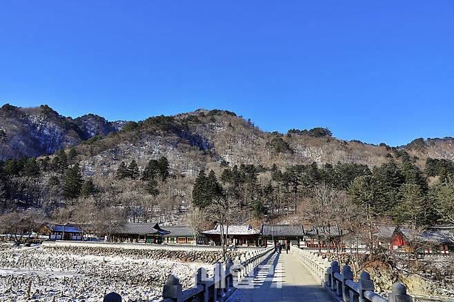 설악산 계곡을 건너 백담사로 이어지는 돌다리. 겨울 햇살 아래, 사찰로 들어서는 길이 차분하게 열려 있다.