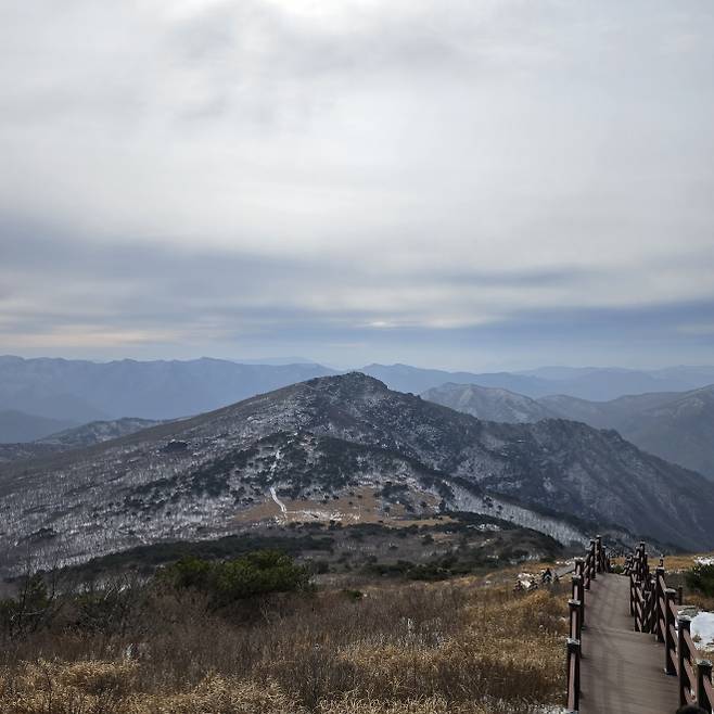 천황산에서 재약산으로 향하는 사자평의 모습