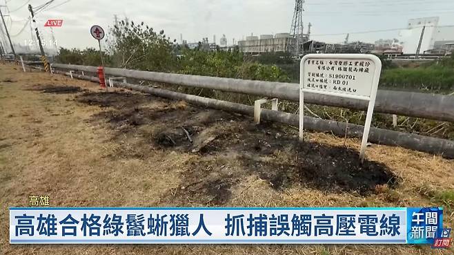 지난달 31일 대만 가오슝 린위안의 공업단지에서 저우모(22)씨가 이구아나를 잡으려다 감전사고를 당해 작은 화재가 발생했다./대만 PTS 유튜브