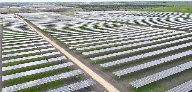 ◀ 한화큐셀이 미국 텍사스에 조성한 168㎿(메가와트) 규모 태양광단지. 한화큐셀은 단순 모듈 판매를 넘어 자사 모듈을 이용해 태양광단지를 조성한 뒤 판매하는 분야로 영역을 넓히고 있다. 한화큐셀 제공