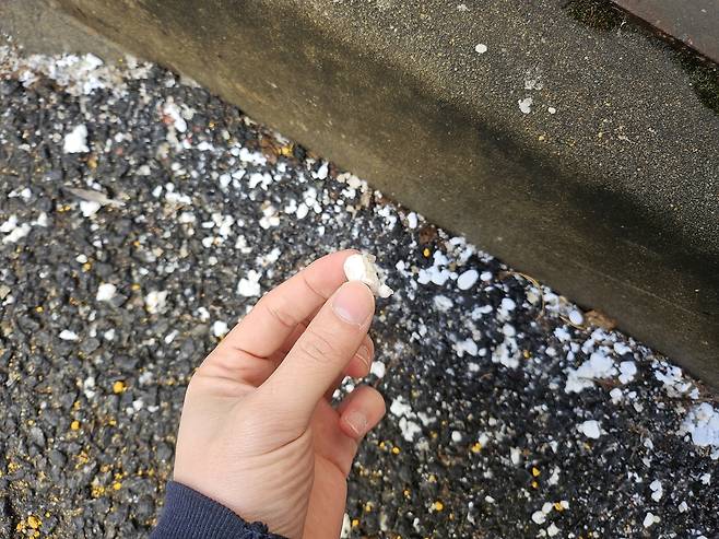 제설제가 거리에 쌓여 있다. 김광우 기자.