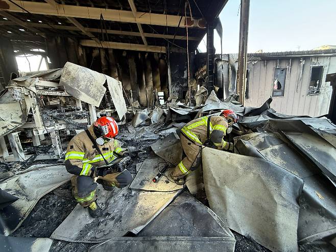 충북소방본부 제공