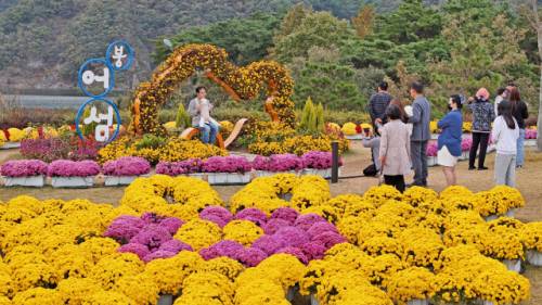 계절별 화려한 꽃으로 가득한 붕어섬생태공원-임실군 제공