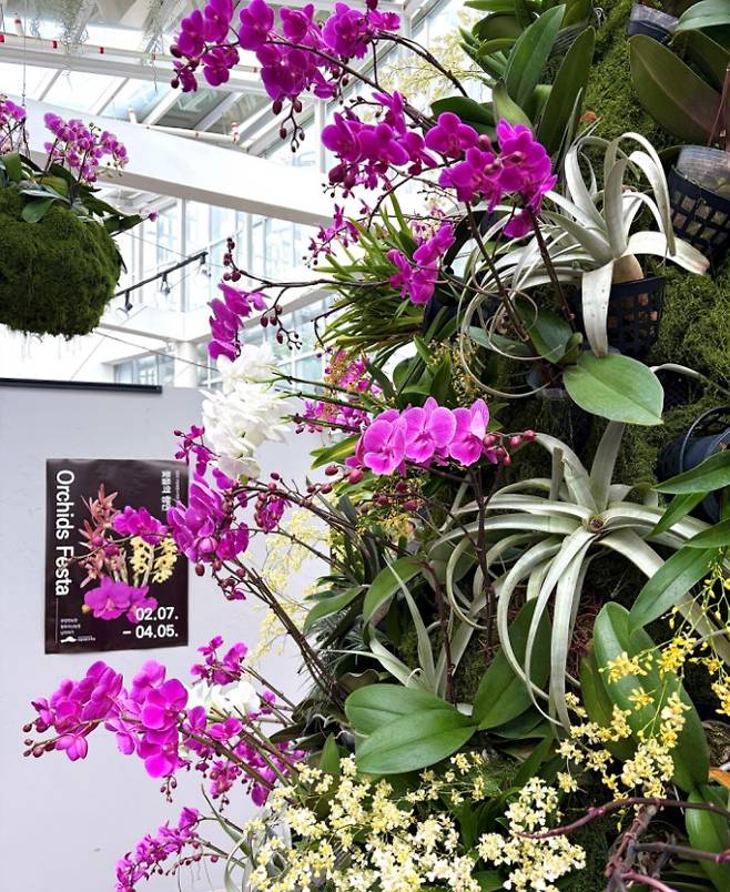 국립세종수목원 난초 기획전시. 한국수목원정원관리원 제공