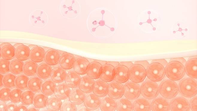 콜라겐은 나이가 들수록 양이 감소해 식품을 통해 보충해주어야 한다 | 출처: 클립아트코리아