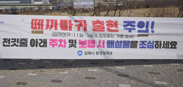 29일 김해 부원동에 떼까마귀 출현주의 관련 현수막이 게시돼있다. 김해=최주연 기자