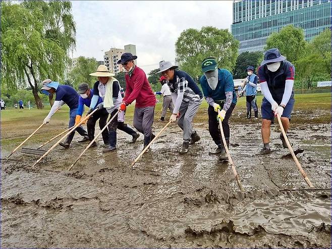 지난 2022년 8월 영등포구 파크골프협회 회원들이 파크골프장 수해 복구 작업에 나서고 있다. /영등포구