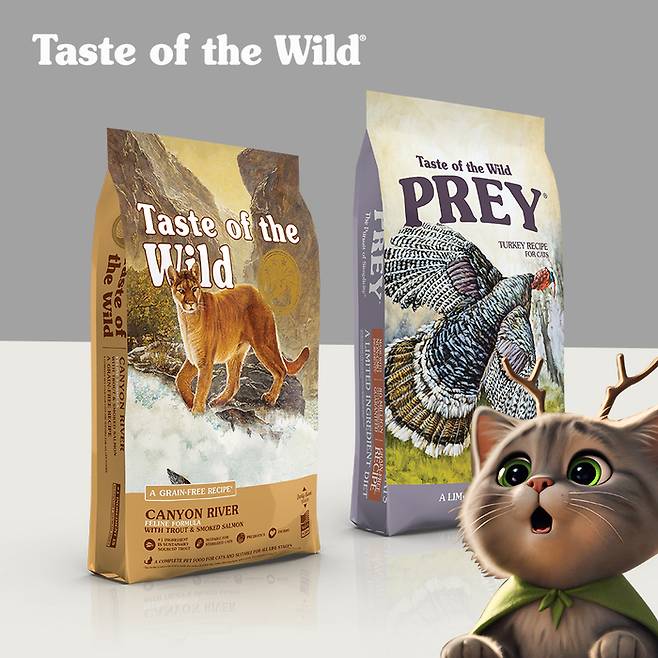 입맛 까다로운 아이도 본능적으로 먼저 찾는, 토우(TOW)의 진심