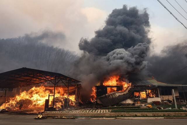 ▲ 지난해 3월 25일 경북 의성군 단촌면 하화1리에 산불 불씨로 인한 화재가 발생해 있다. 연합뉴스