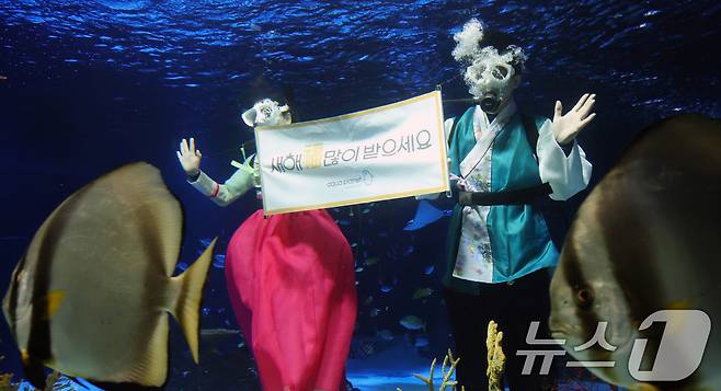 설 명절을 앞둔 11일 경기 수원시 영통구 아쿠아플라넷 광교에서 한복을 입은 아쿠아리스트들이 설 명절 인사를 하고 있다. 2026.2.11 ⓒ 뉴스1 김영운 기자