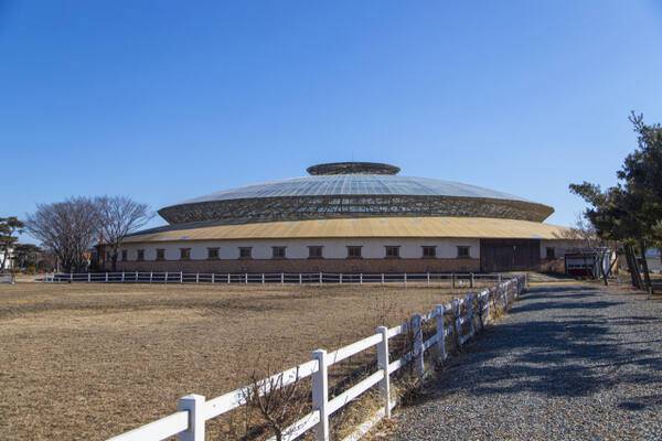 안산 베르아델승마클럽. 경기관광공사 제공