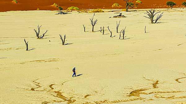 약 800년 전 생을 마친 나무들이 마른 채로 서 있는 죽음의 계곡, 데드블레이.