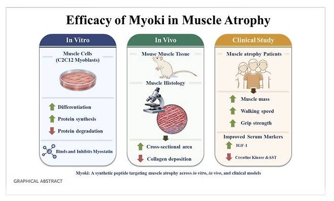 '마이오키' 기전 및 임상결과. /케어젠 제공