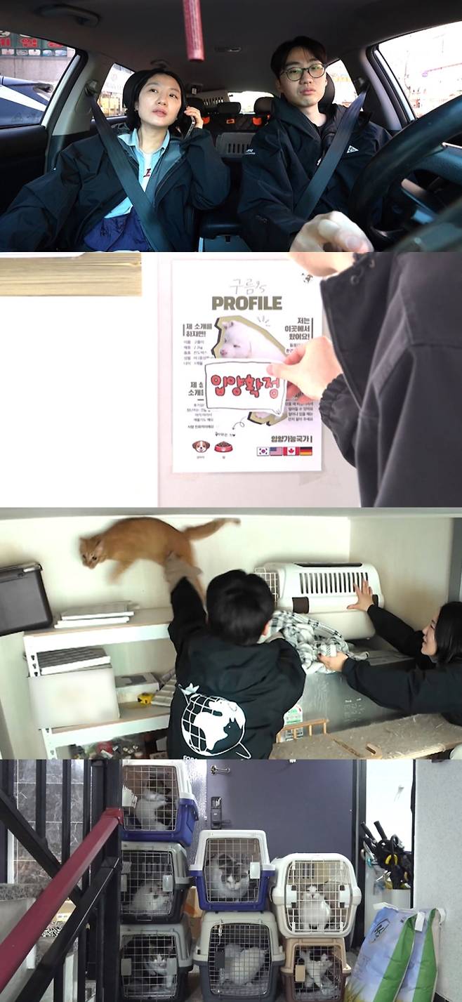 전지적 참견 시점, 유기묘 구조 (사진=전참시)