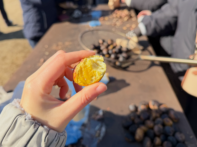 노랗게 익은 군밤 / 사진= 문서연 여행+ 기자