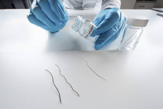 연구팀이 코끼리 콧수염 샘플을 꺼내고 있다. MPI-IS 제공