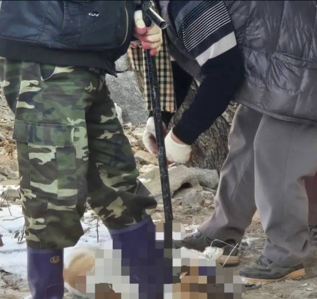 당시 현장 사진. /사단법인 위액트