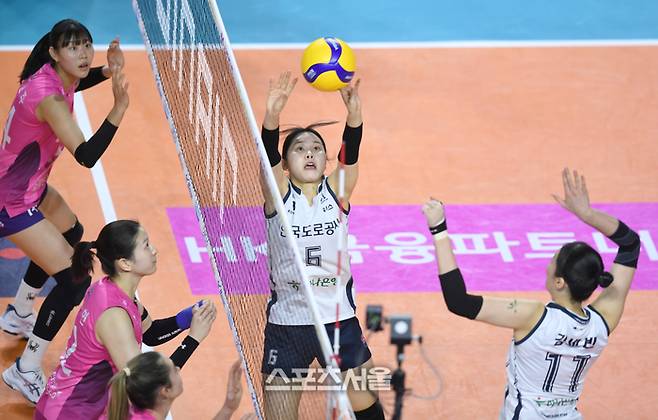 도로공사 이윤정이 3일 인천 삼산월드체육관에서 열린 2025~2026 V-리그 흥국생명과 경기에서 세트 업을 하고 있다. 2025. 12. 3. 삼산 | 최승섭기자 thunder@sportsseoul.com