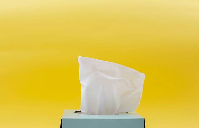 전문가들은 뒤처리 시 물티슈를 과도하게 사용하면 항문 점막 훼손 및 만성 가려움증을 유발하거나 악화시킬 수 있다고 경고한다. unsplash
