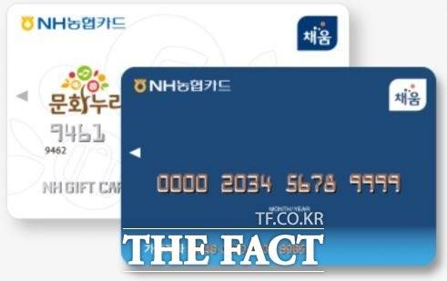 문화누리카드. /더팩트 DB