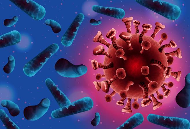 쿠키뉴스 자료사진. 그래픽=한지영 디자이너