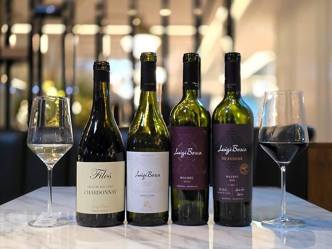 루이지 보스카 와인. 최현태 기자