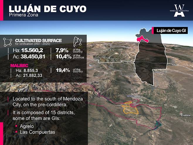 루한 데 쿠요 현황. 아르헨티나와인협회