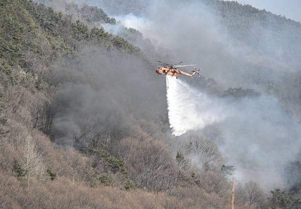 23일 오전 진화 헬기들이 함양 산불 현장 인근에서 물을 뿌리고 있다./김구연 기자
