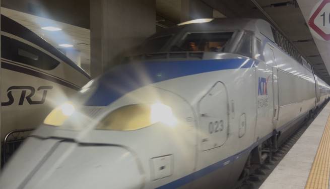 25일 SRT가 정차돼 있는 수서역 승강장 옆에 KTX 열차가 들어오고 있다.(천상우 1000tkddn@)