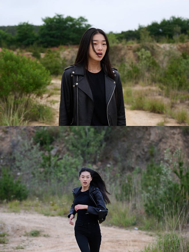 영화사 블랙독
